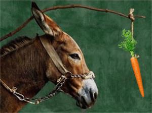 donkey-and-carrot